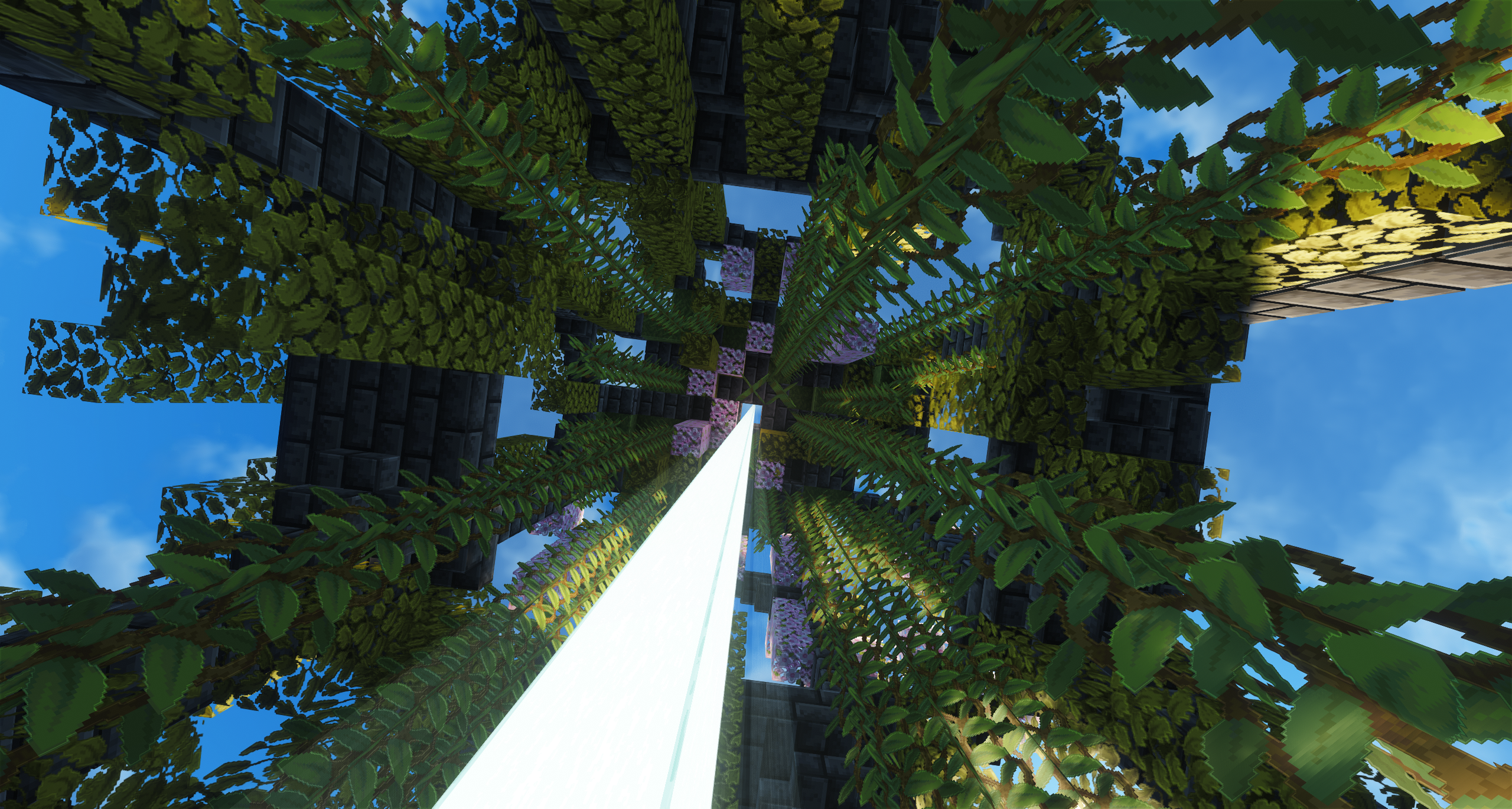 Beacon Sanctuary — vue 4